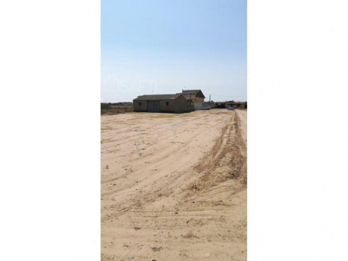 Picture of Retail For Sale in El Toro Port Adriano, Mallorca, Spain