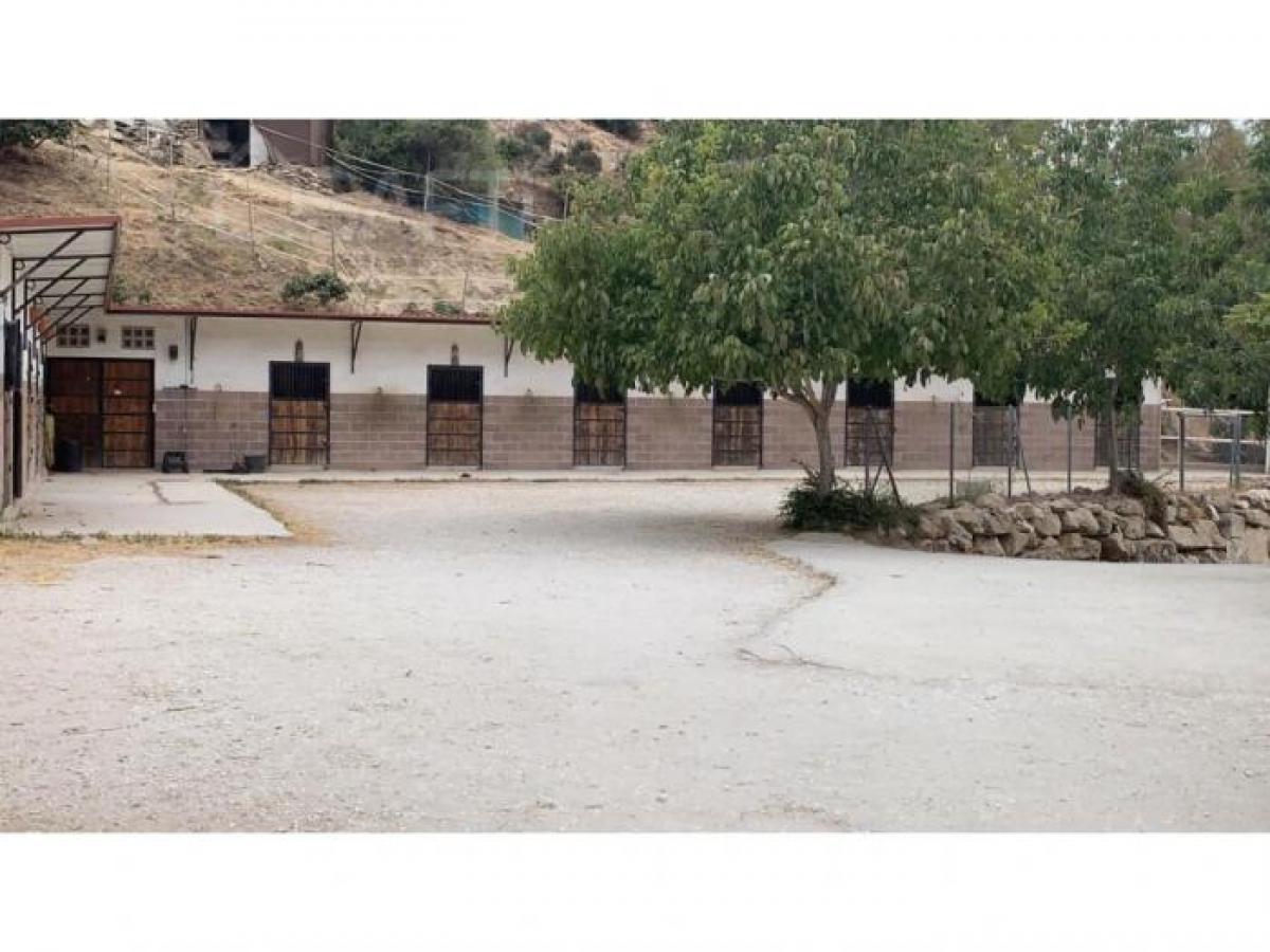 Picture of Home For Sale in Ojen, Malaga, Spain