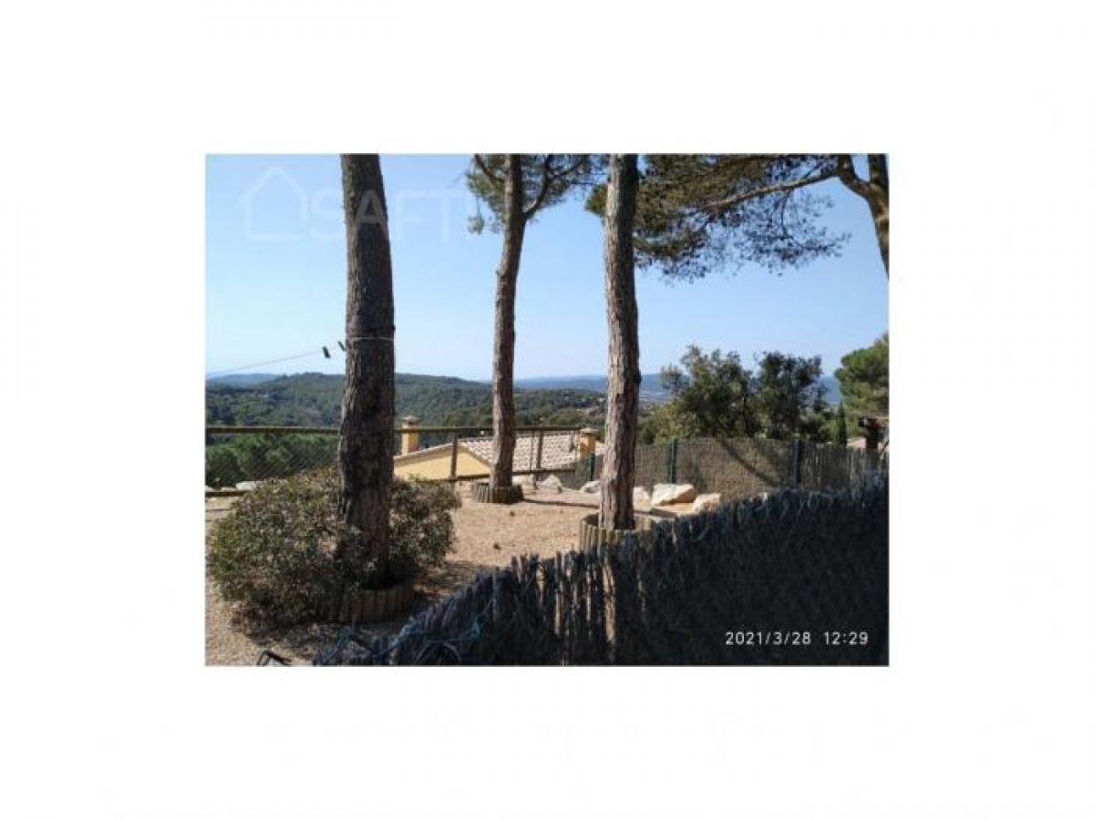 Picture of Residential Land For Sale in Begur, Girona, Spain