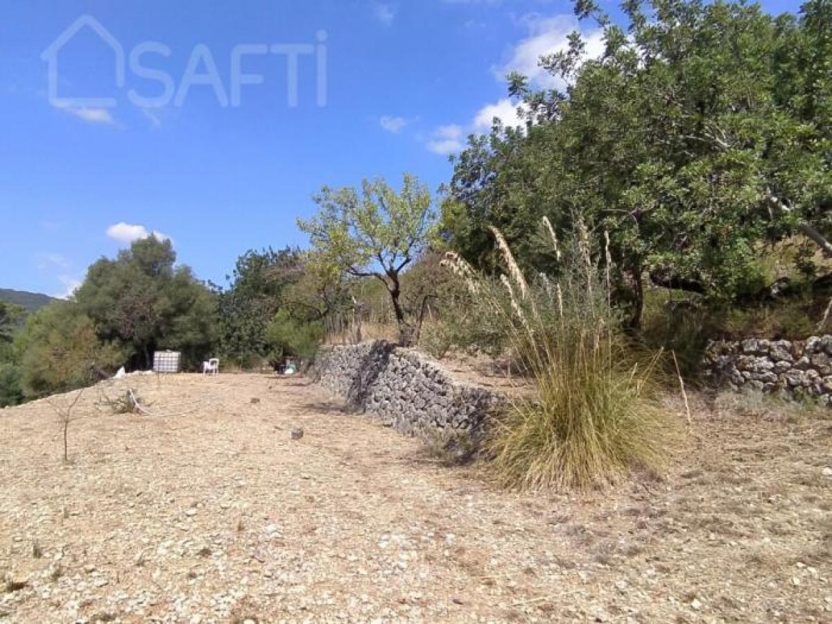 Picture of Residential Land For Sale in Banyalbufar, Mallorca, Spain