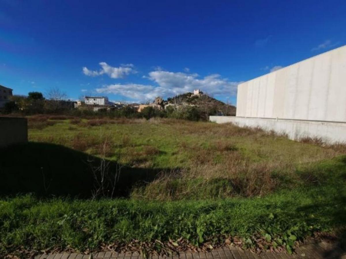 Picture of Residential Land For Sale in Arta, Mallorca, Spain