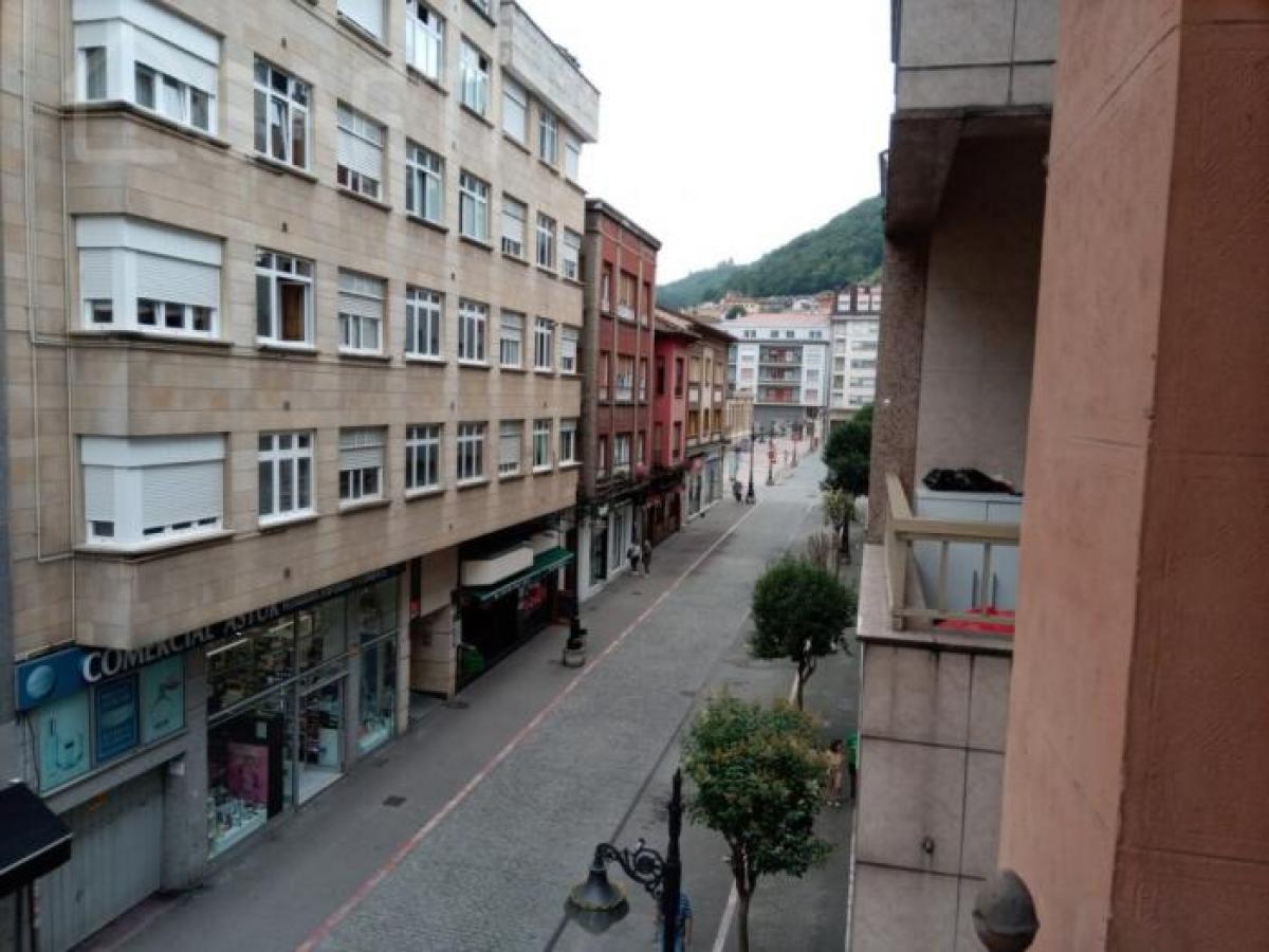 Picture of Apartment For Rent in Mieres, Asturias, Spain