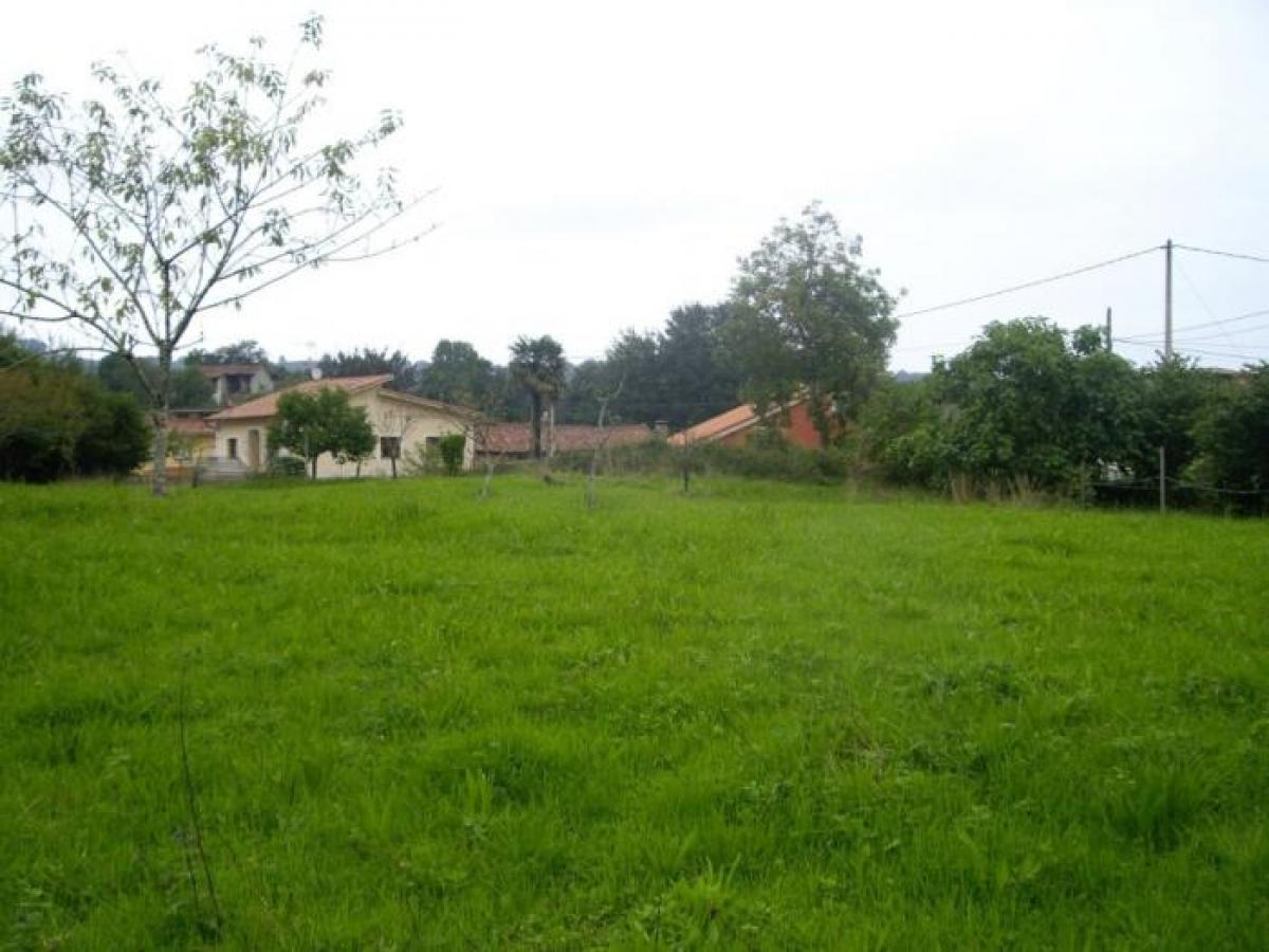 Picture of Residential Land For Sale in Llanes, Asturias, Spain
