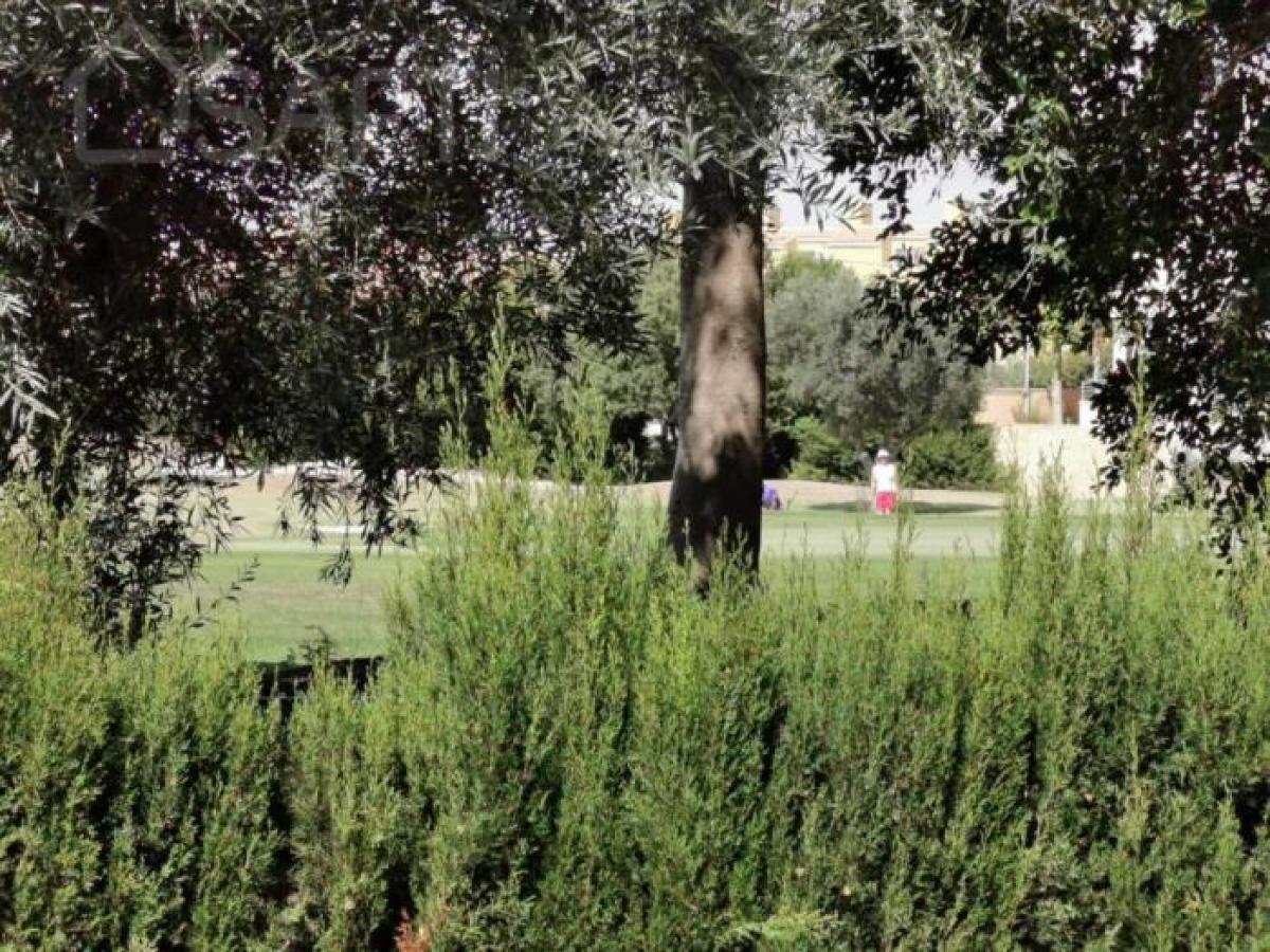 Picture of Home For Sale in Alicante, Alicante, Spain