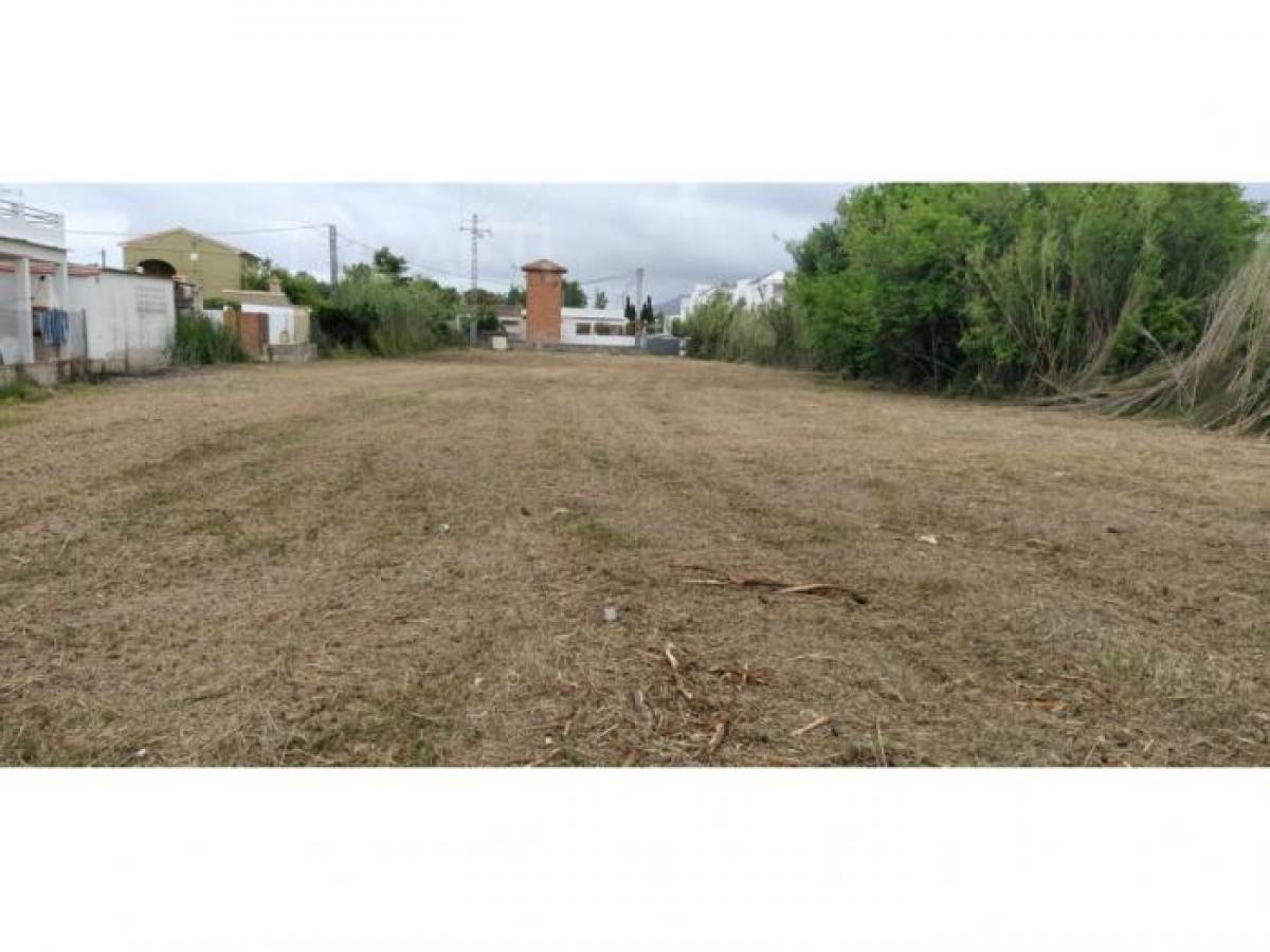 Picture of Residential Land For Sale in Oliva, Valencia, Spain