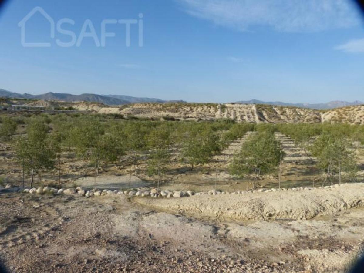 Picture of Residential Land For Sale in Fortuna, Murcia, Spain