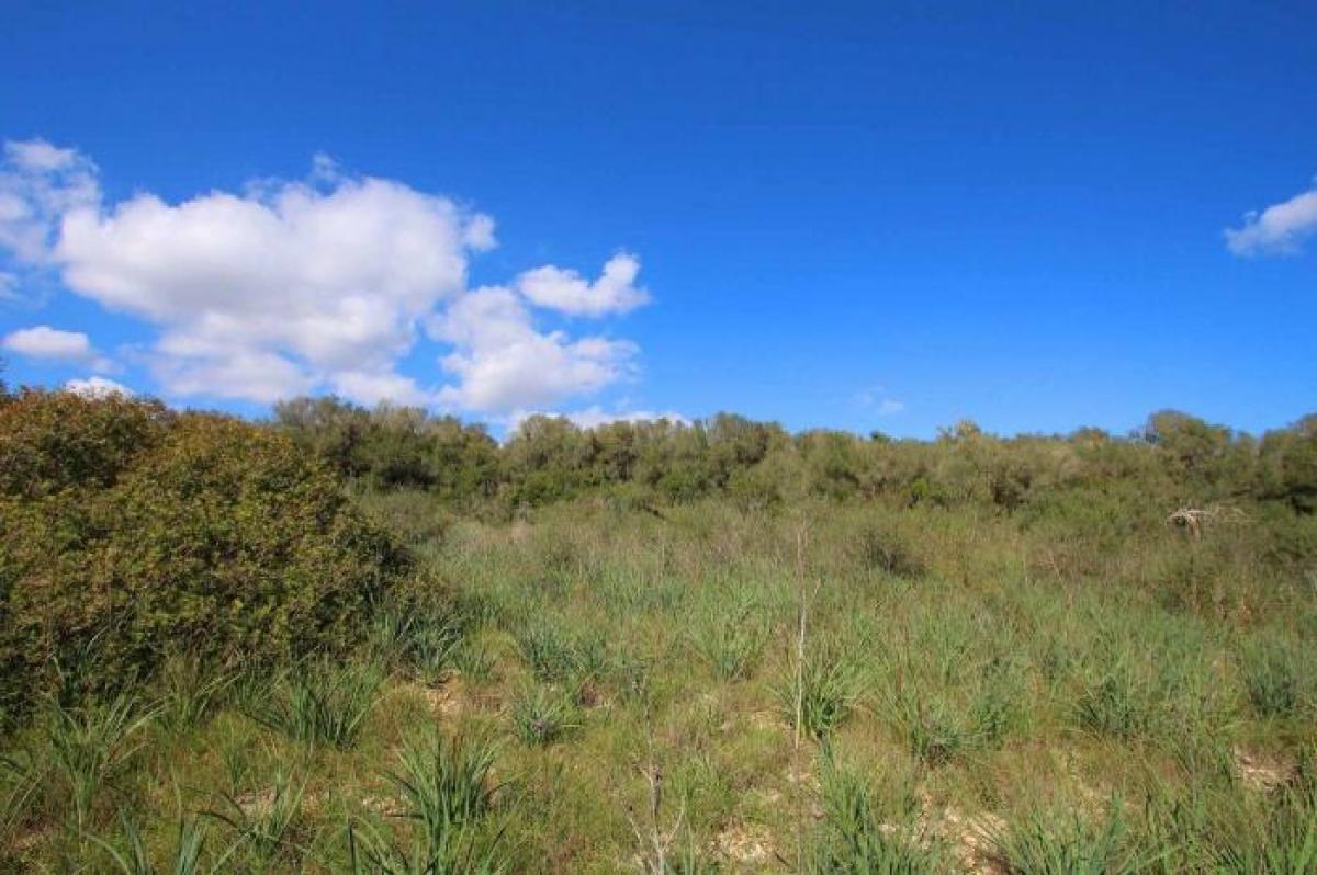 Picture of Residential Land For Sale in Manacor, Mallorca, Spain