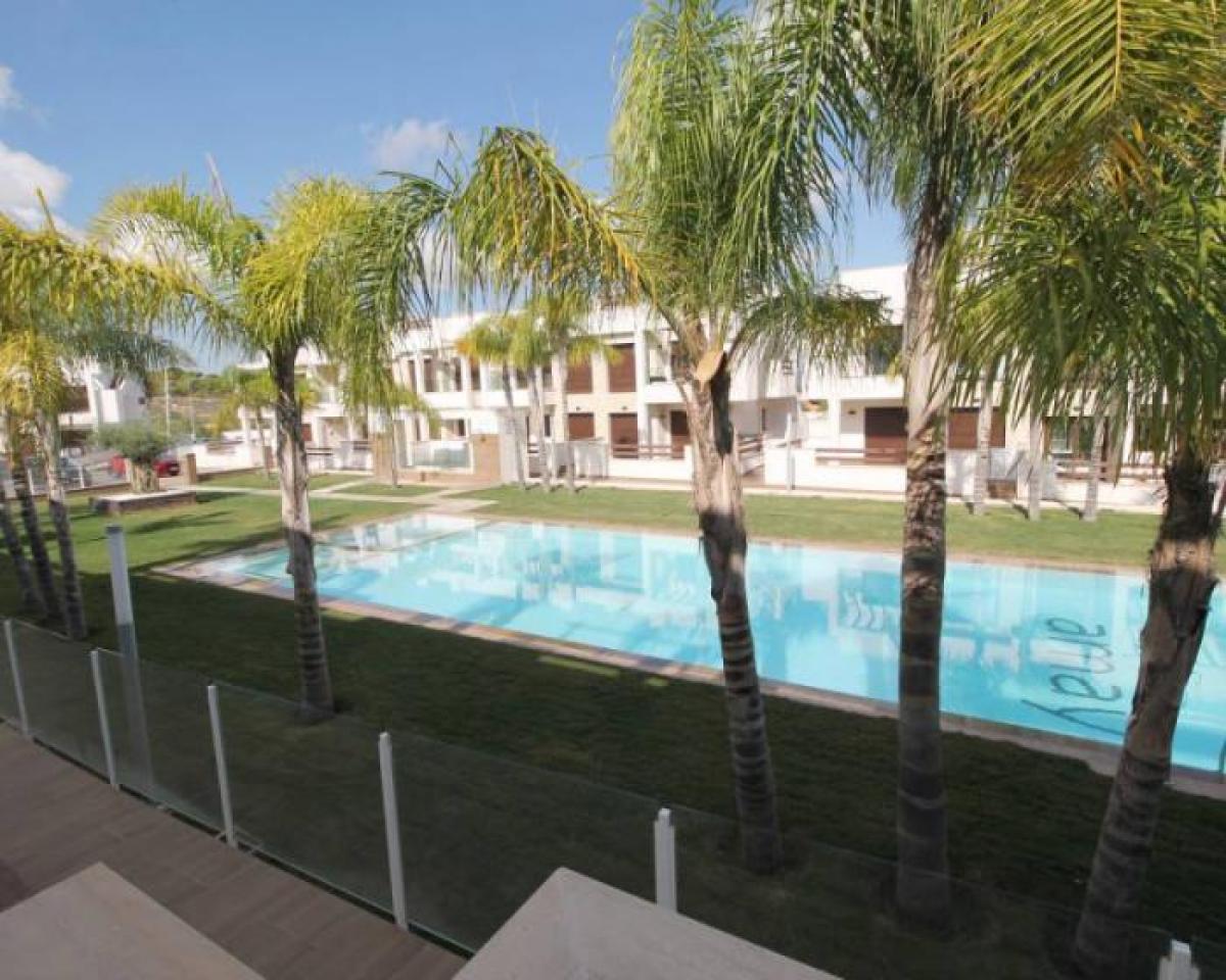 Picture of Apartment For Rent in Torrevieja, Alicante, Spain