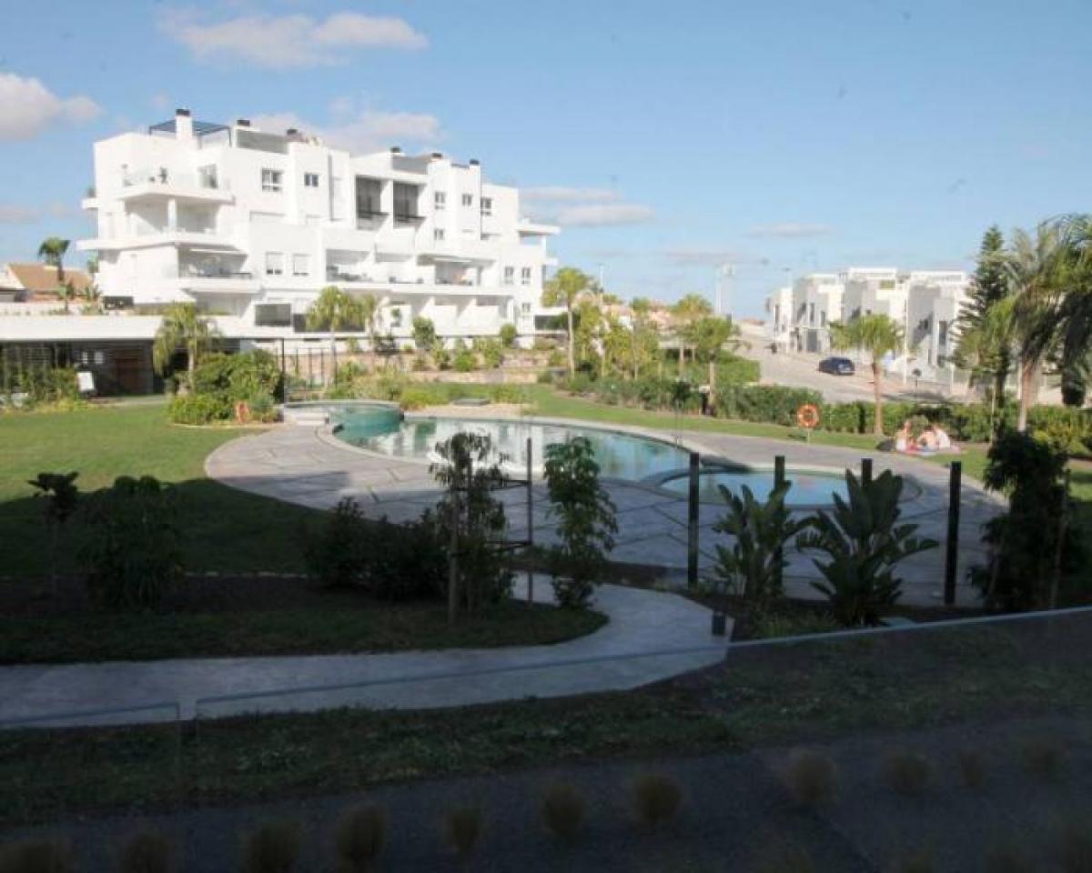 Picture of Apartment For Rent in Torrevieja, Alicante, Spain