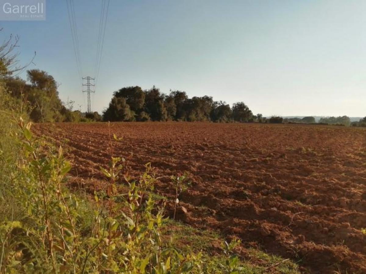 Picture of Residential Land For Sale in Barcelona, Barcelona, Spain