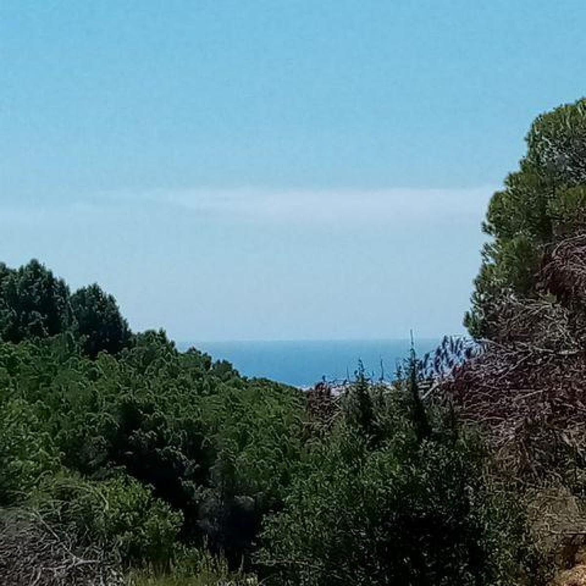 Picture of Residential Land For Sale in Altea, Alicante, Spain