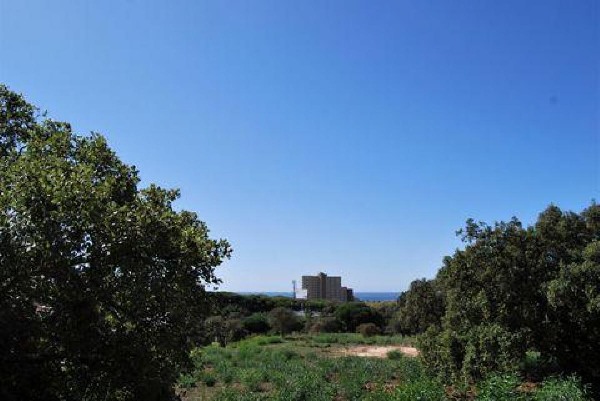 Picture of Residential Land For Sale in Marbella, Andalusia, Spain