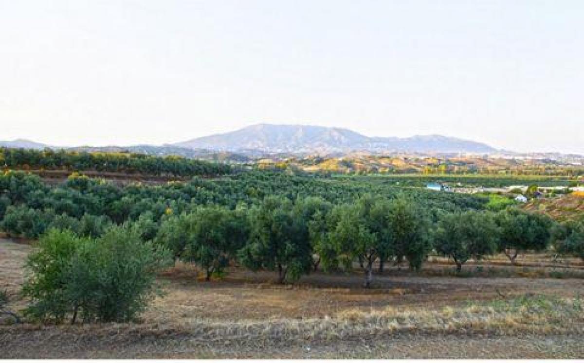 Picture of Residential Land For Sale in La Cala Golf, Malaga, Spain