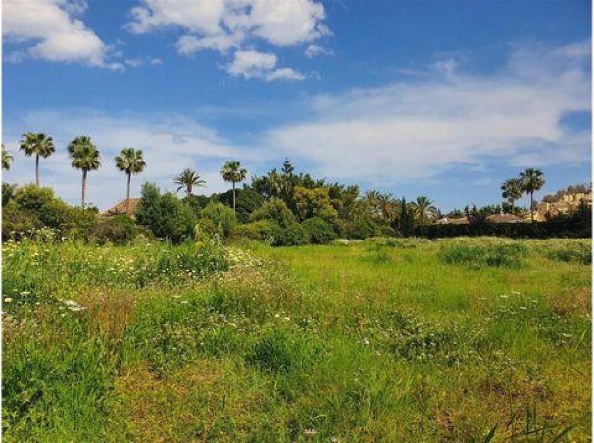 Picture of Residential Land For Sale in Marbella, Andalusia, Spain