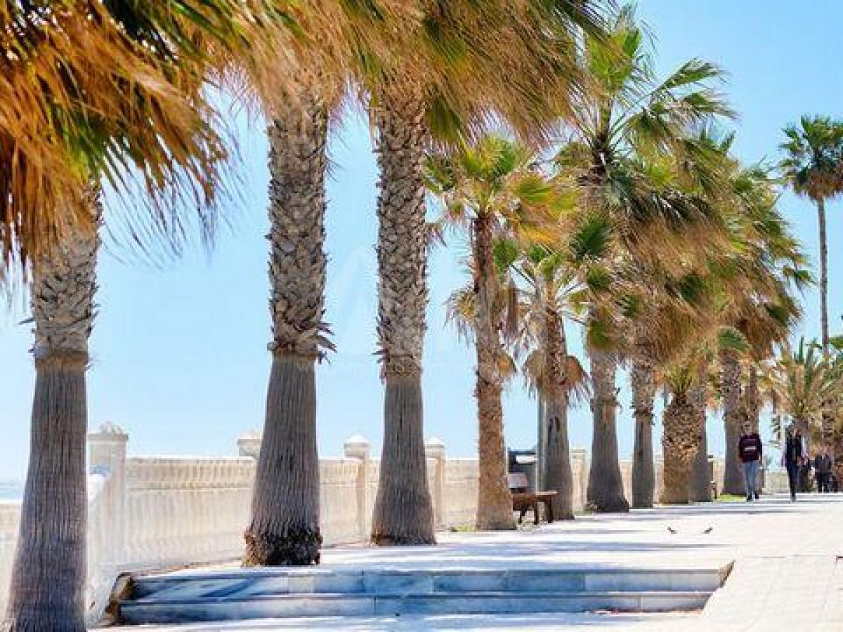 Picture of Condo For Sale in Pilar De La Horadada, Alicante, Spain