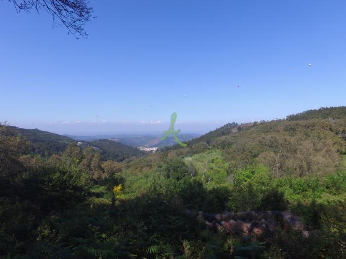 Picture of Residential Land For Sale in Monchique, Algarve, Portugal