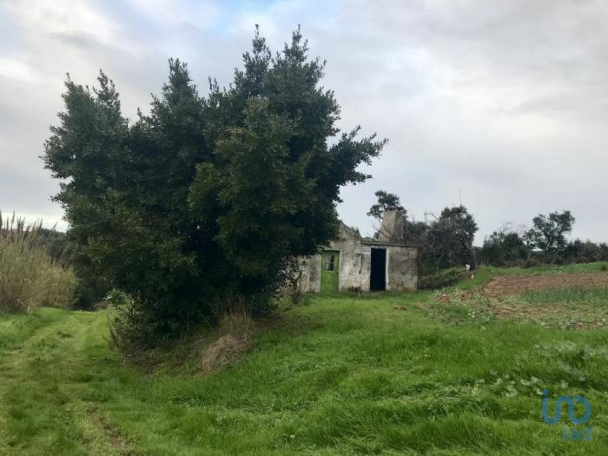 Picture of Residential Land For Sale in Caldas Da Rainha, Region Of Murcia, Portugal