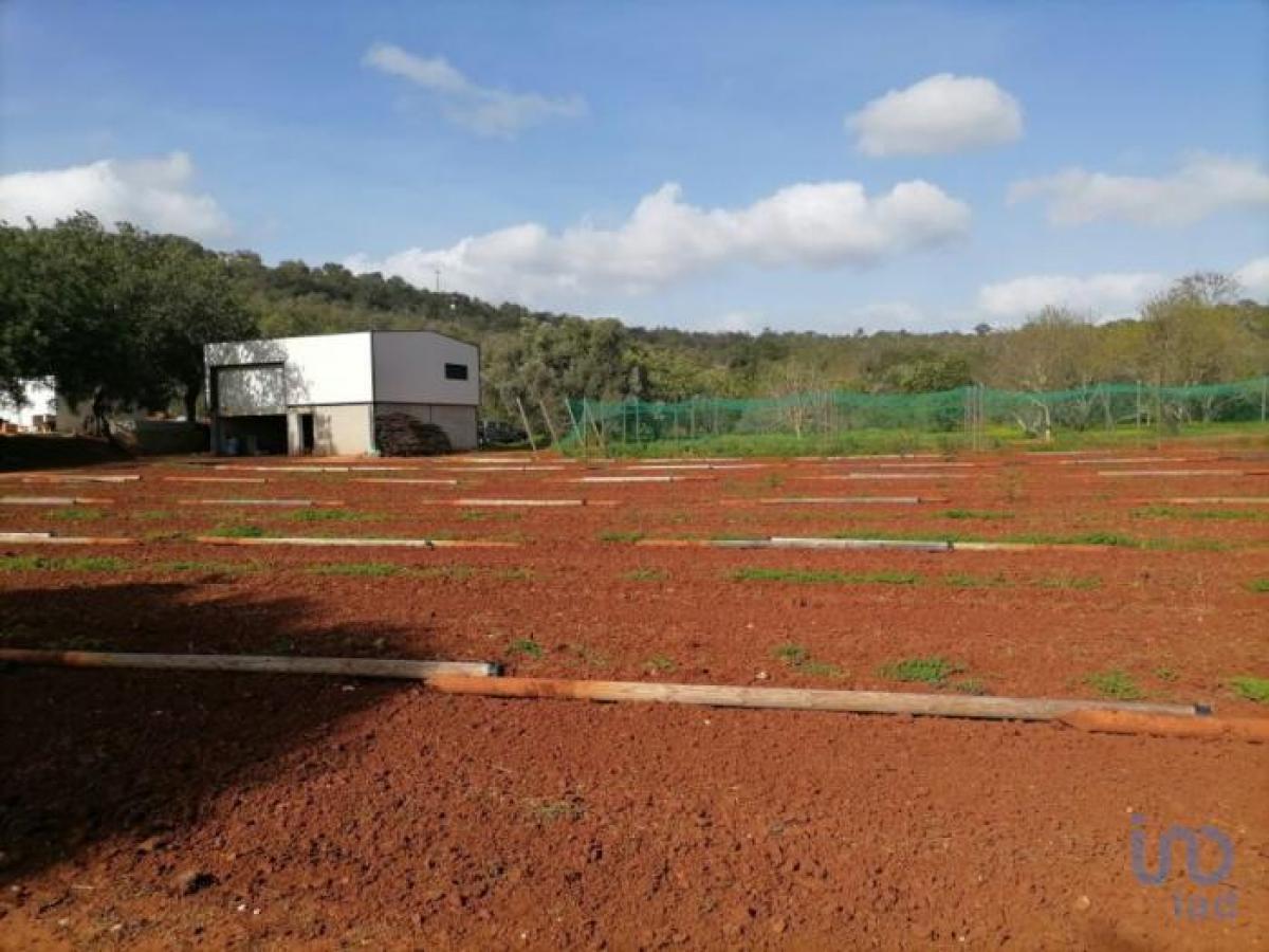 Picture of Residential Land For Sale in Loul, Algarve, Portugal