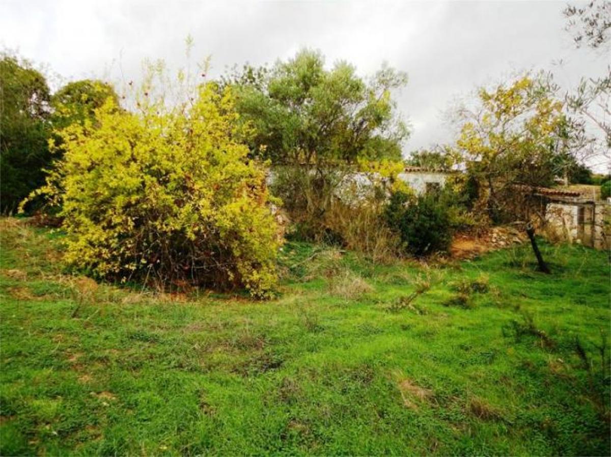 Picture of Residential Land For Sale in Tavira, Algarve, Portugal