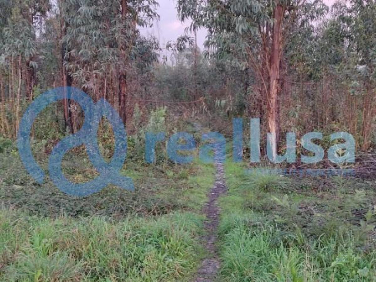 Picture of Residential Land For Sale in Aveiro, Beira, Portugal