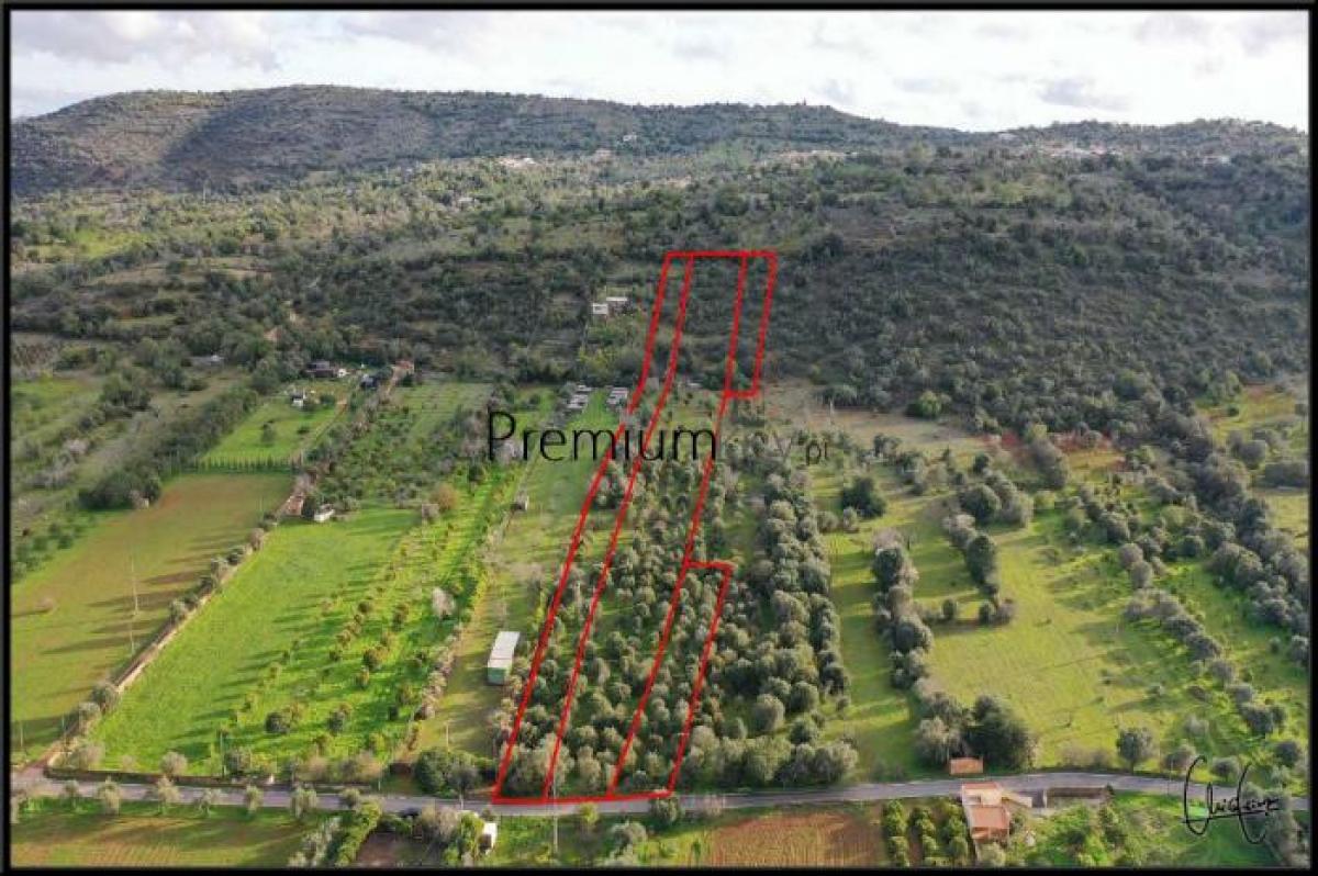 Picture of Residential Land For Sale in Albufeira, Algarve, Portugal