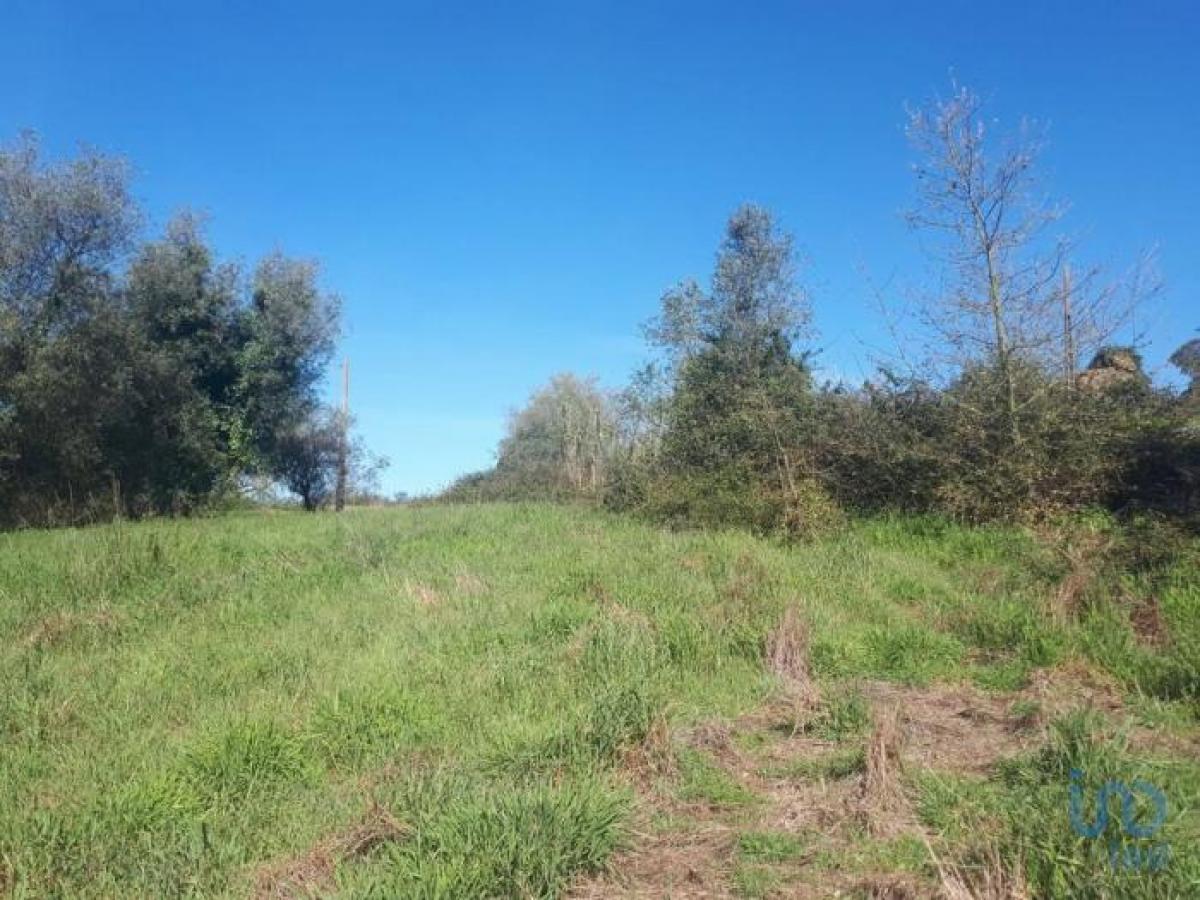 Picture of Residential Land For Sale in Leiria, Beira, Portugal