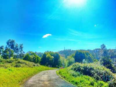 Residential Land For Sale in Leiria, Portugal