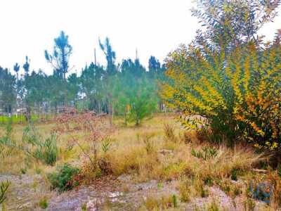 Residential Land For Sale in Leiria, Portugal