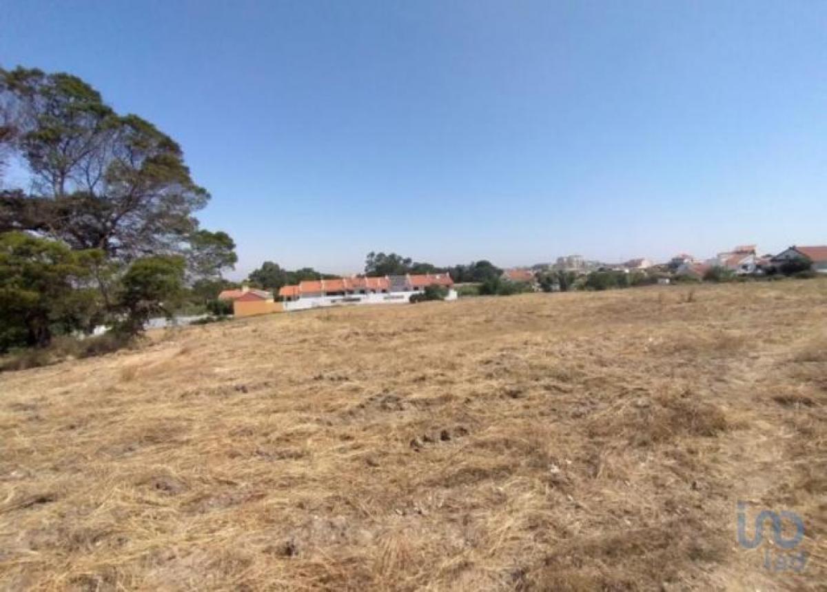 Picture of Residential Land For Sale in Seixal, Madeira, Portugal