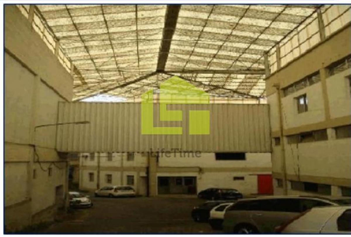 Picture of Industrial For Sale in Portalegre, Alentejo, Portugal