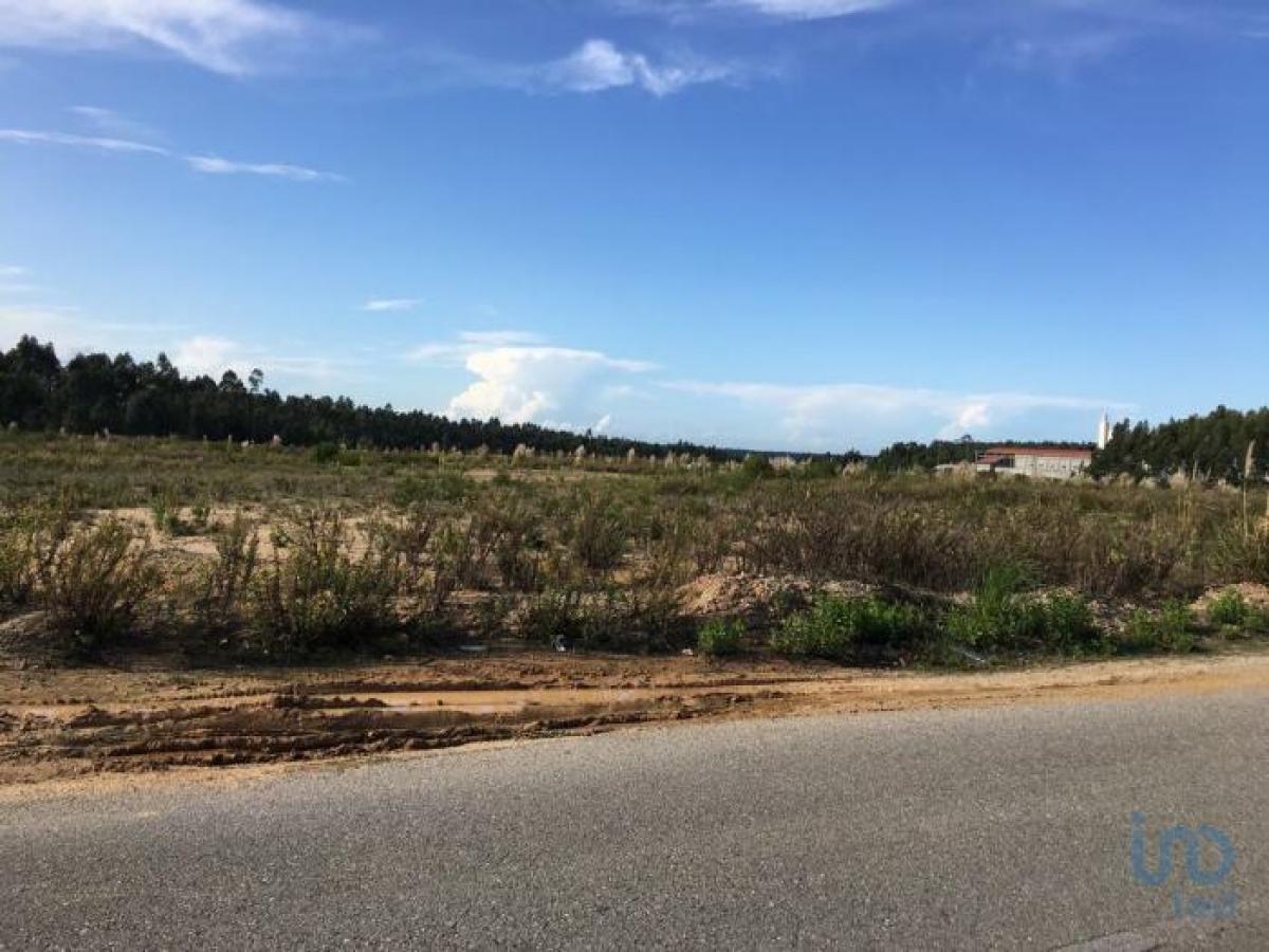Picture of Residential Land For Sale in Leiria, Beira, Portugal