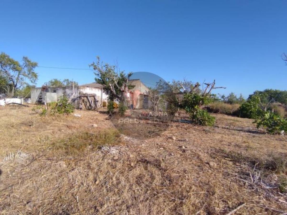 Picture of Home For Sale in Silves, Algarve, Portugal