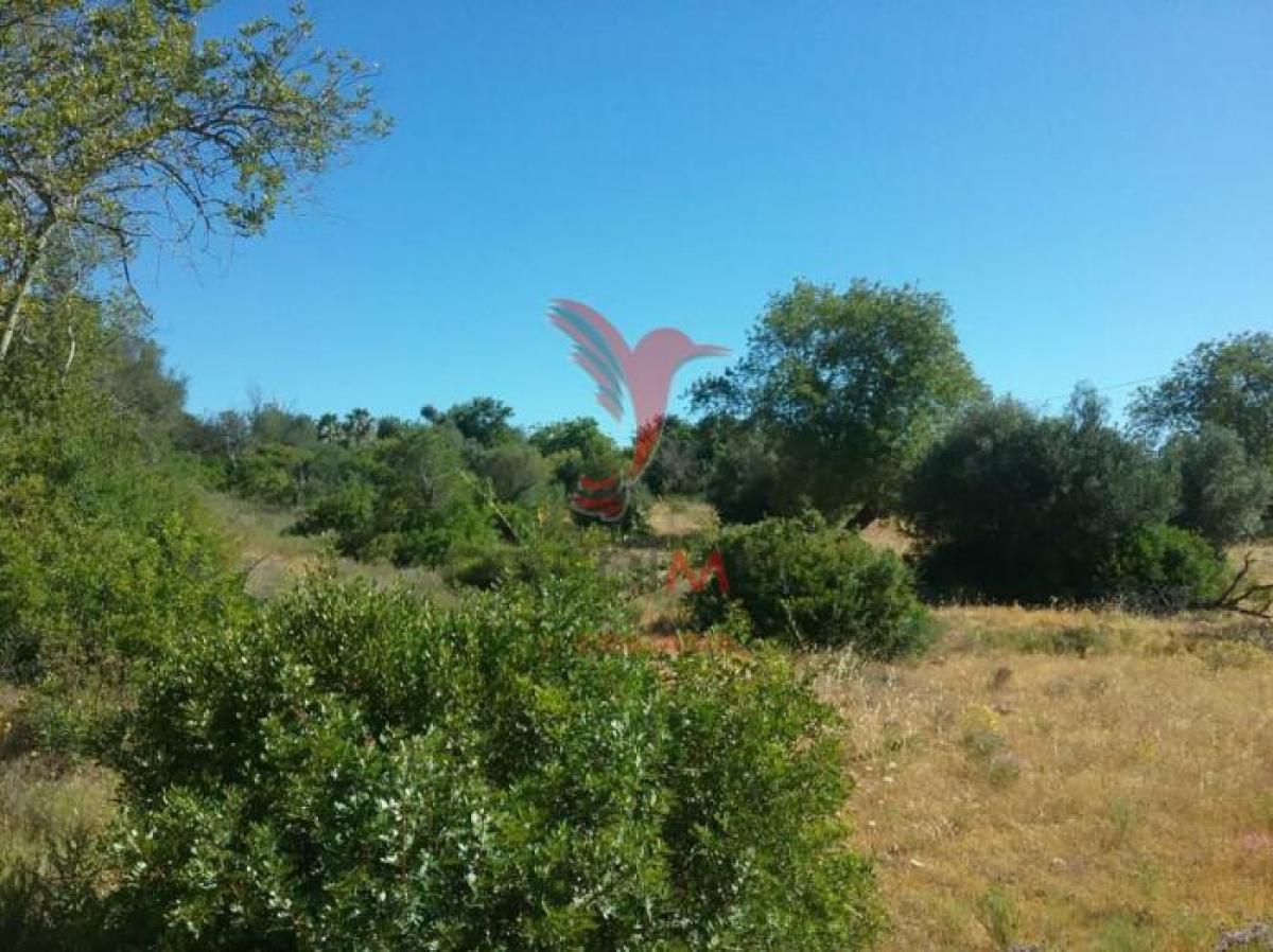 Picture of Residential Land For Sale in Albufeira, Algarve, Portugal