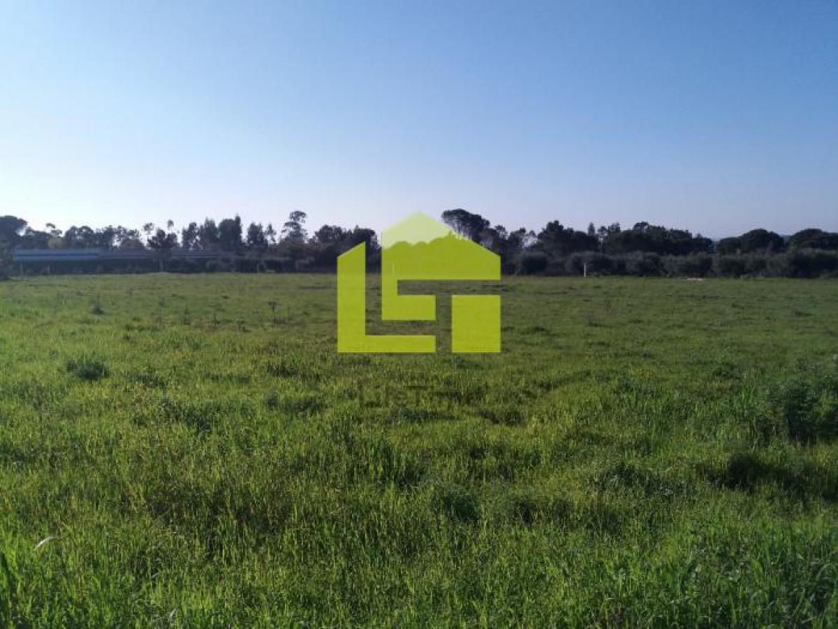 Picture of Residential Land For Sale in Coimbra, Beira, Portugal