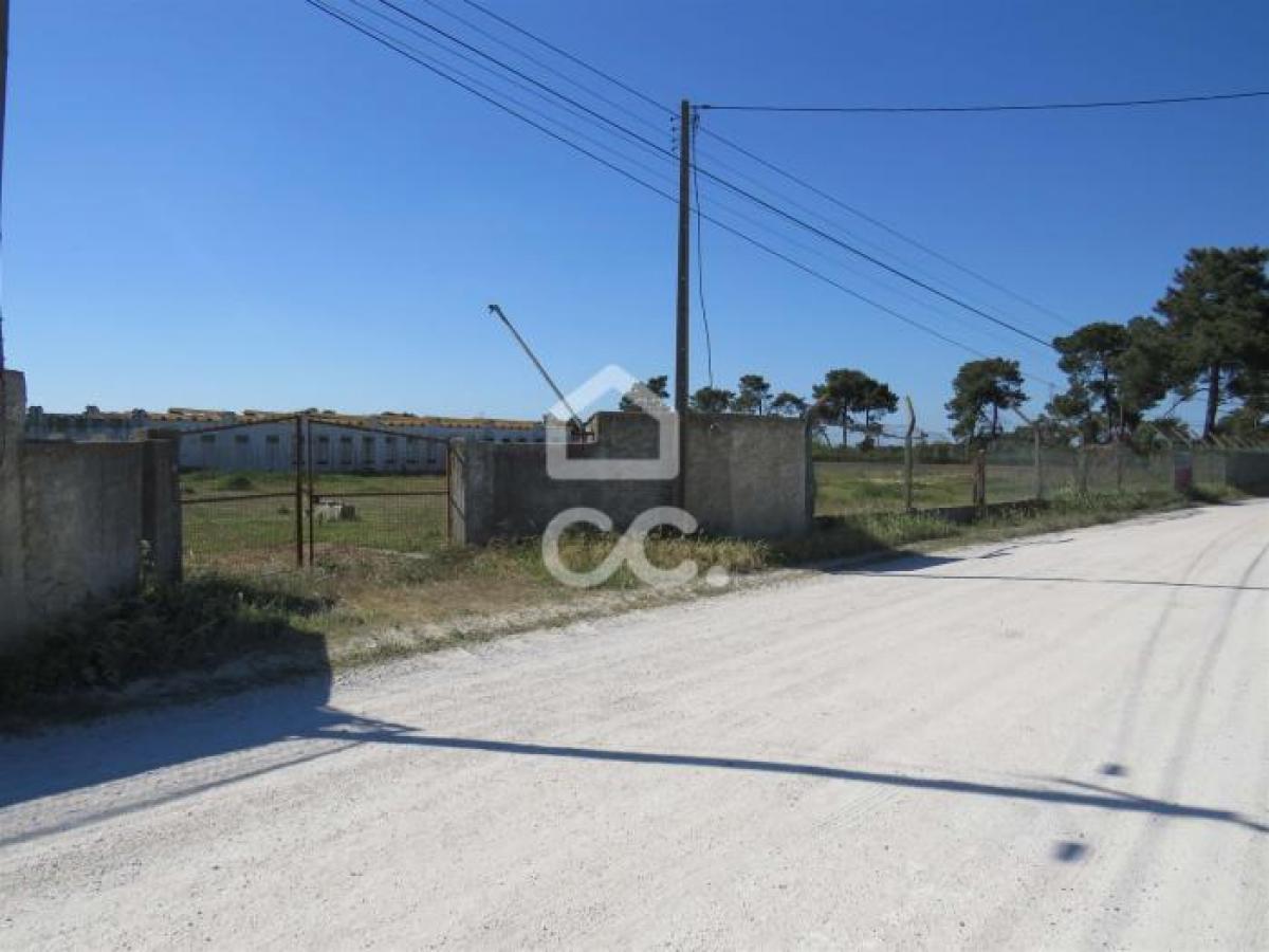 Picture of Residential Land For Sale in Palmela, Sterea Ellas-Évvoia, Portugal