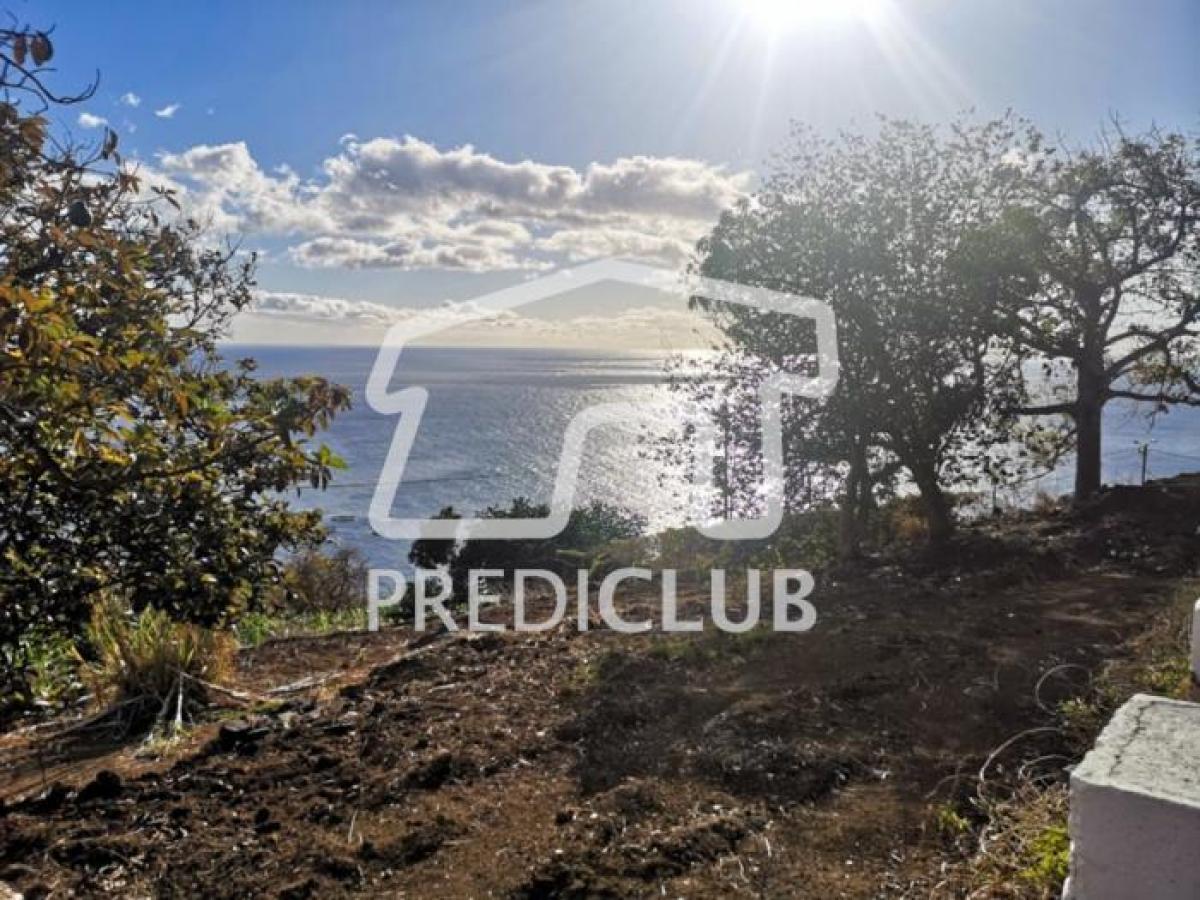 Picture of Residential Land For Sale in Ribeira Brava, Madeira, Portugal