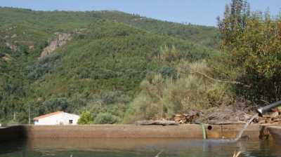 Home For Sale in Portalegre, Portugal