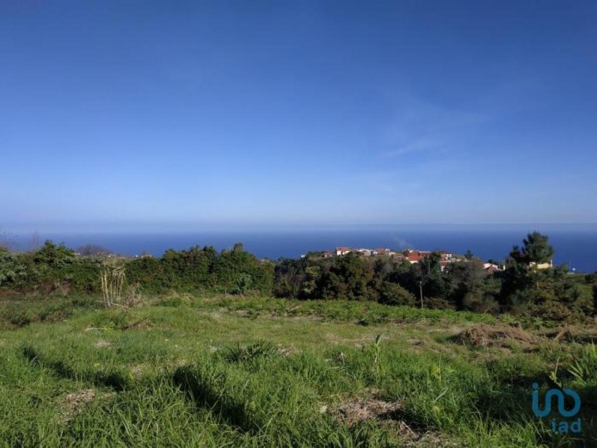Picture of Residential Land For Sale in Santana, Madeira, Portugal