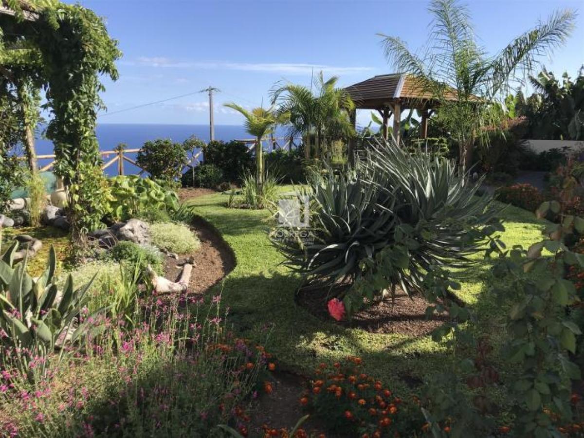 Picture of Villa For Sale in Ponta do Sol, Madeira, Portugal