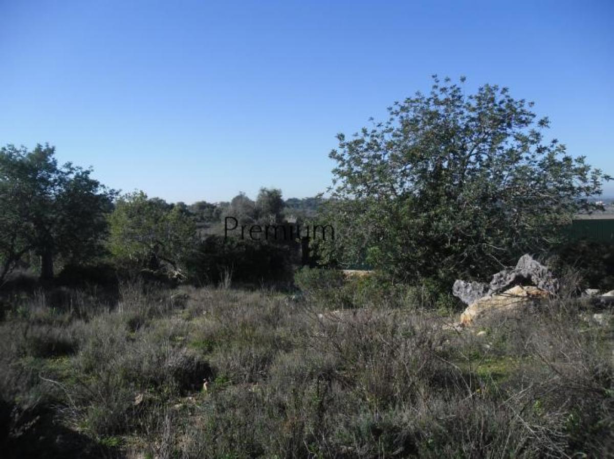 Picture of Residential Land For Sale in Silves, Algarve, Portugal