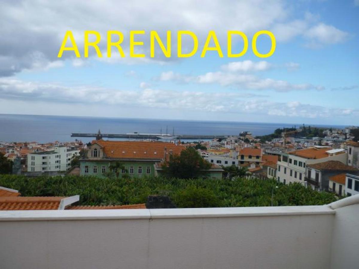 Picture of Apartment For Rent in Funchal, Madeira, Portugal
