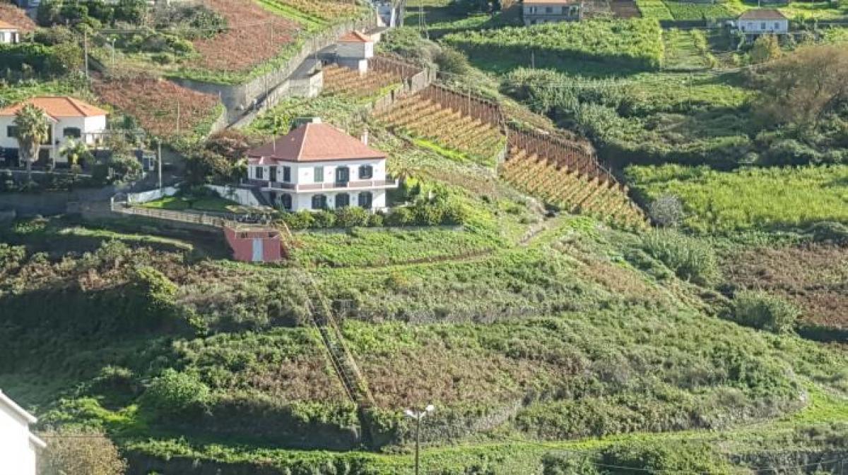 Picture of Residential Land For Sale in Ribeira Brava, Madeira, Portugal