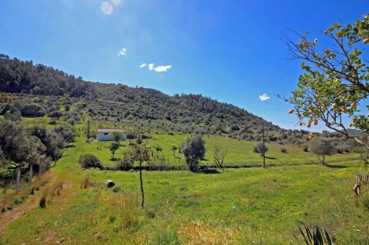 Picture of Residential Land For Sale in Silves, Algarve, Portugal