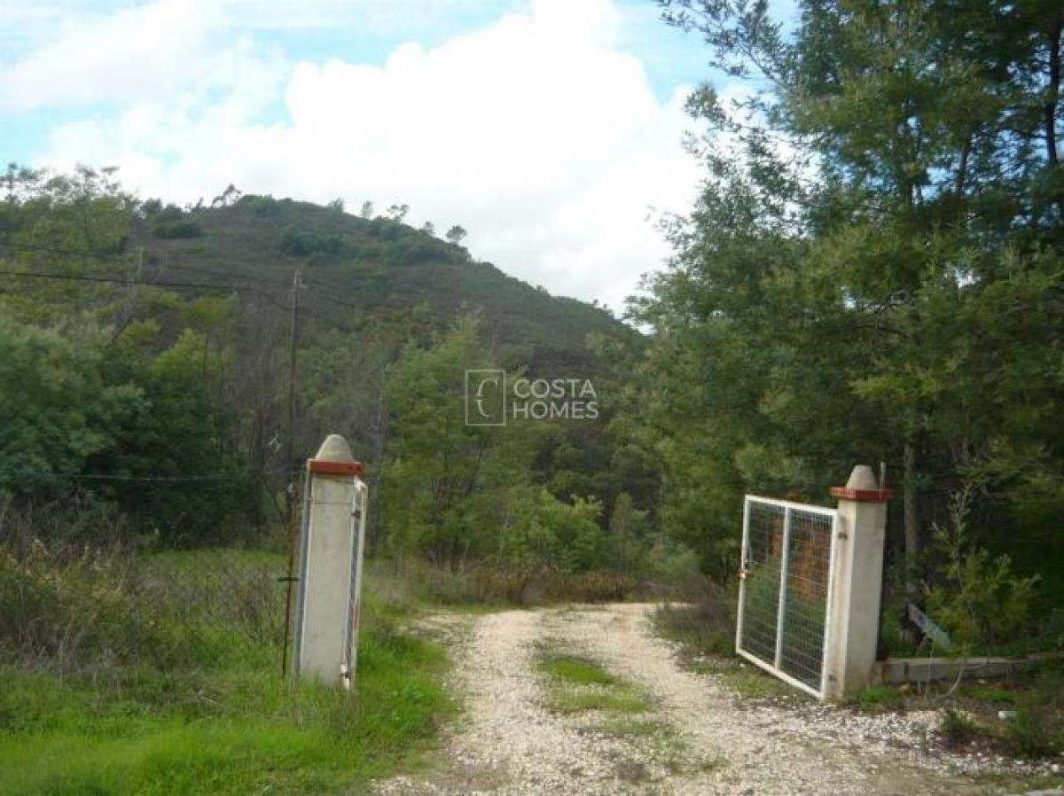 Picture of Residential Land For Sale in Monchique, Algarve, Portugal