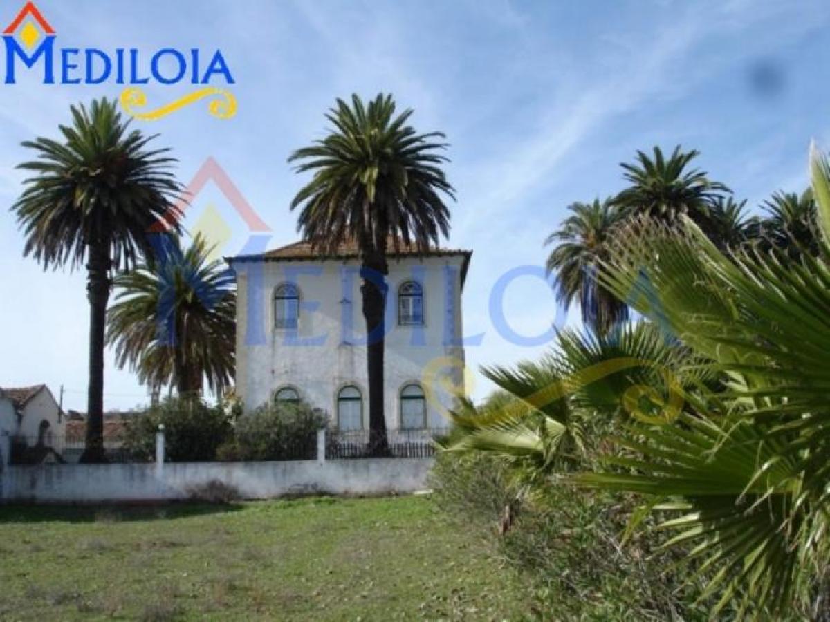 Picture of Farm For Sale in Beja, Alentejo, Portugal