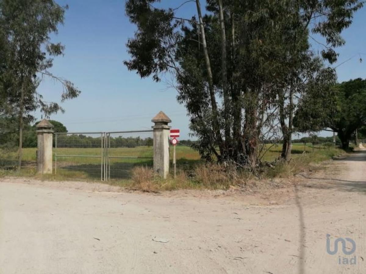 Picture of Residential Land For Sale in Palmela, Sterea Ellas-Évvoia, Portugal