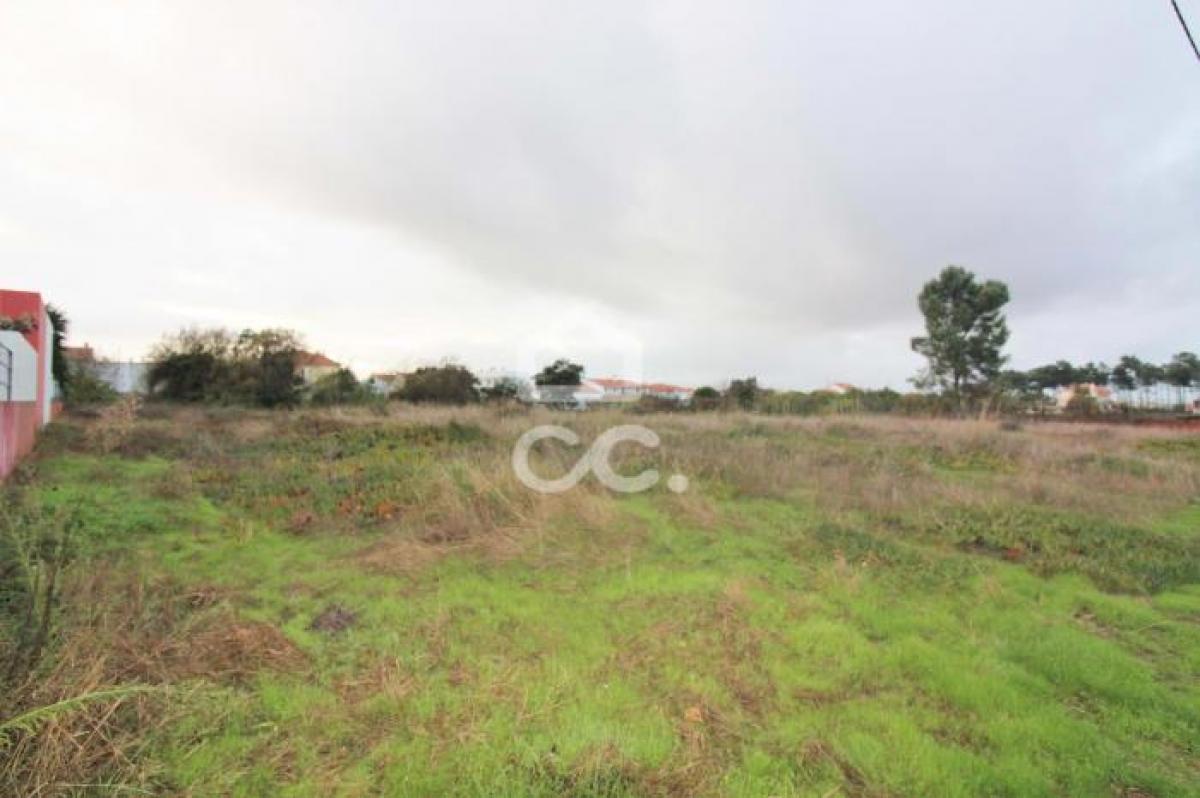 Picture of Residential Land For Sale in Seixal, Madeira, Portugal