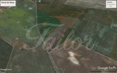 Residential Land For Sale in 