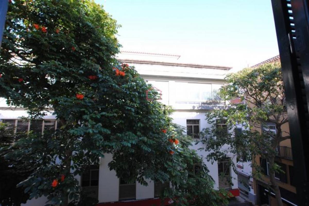 Picture of Office For Rent in Funchal, Madeira, Portugal