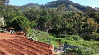 Residential Land For Sale in Machico, Portugal